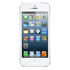Apple iPhone 5 16Gb white - Великие Луки