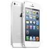 Apple iPhone 5 64Gb white - Великие Луки